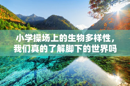 小学操场上的生物多样性，我们真的了解脚下的世界吗？