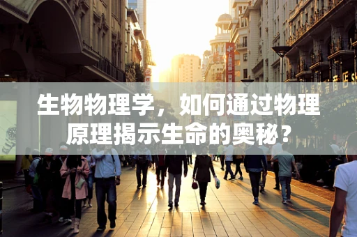 生物物理学，如何通过物理原理揭示生命的奥秘？