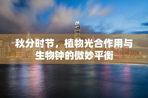 秋分时节，植物光合作用与生物钟的微妙平衡