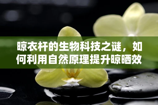 晾衣杆的生物科技之谜，如何利用自然原理提升晾晒效率？