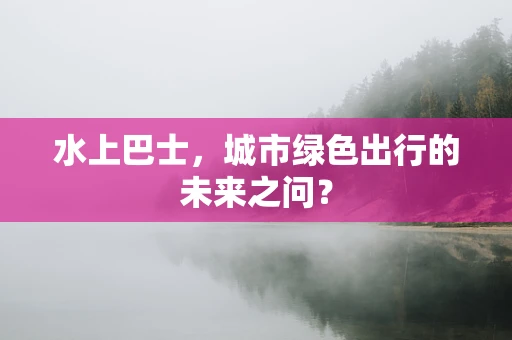 水上巴士，城市绿色出行的未来之问？