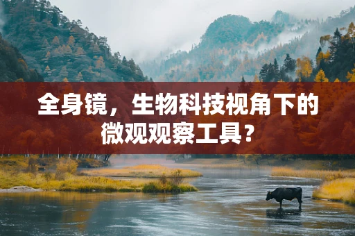 全身镜，生物科技视角下的微观观察工具？