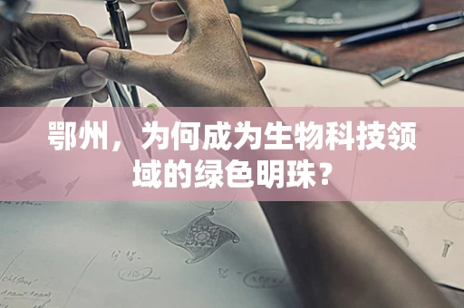 鄂州，为何成为生物科技领域的绿色明珠？