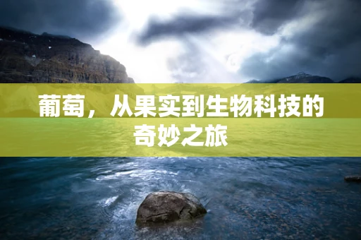 葡萄，从果实到生物科技的奇妙之旅