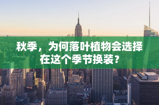 秋季，为何落叶植物会选择在这个季节换装？