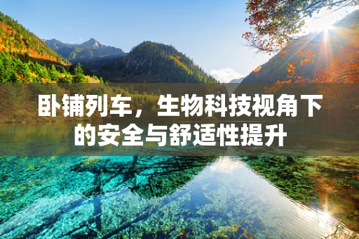 卧铺列车，生物科技视角下的安全与舒适性提升