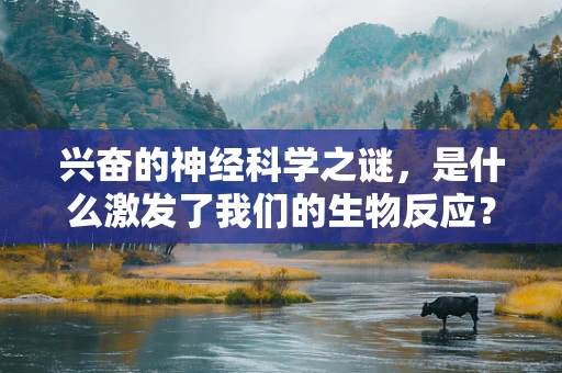 兴奋的神经科学之谜，是什么激发了我们的生物反应？