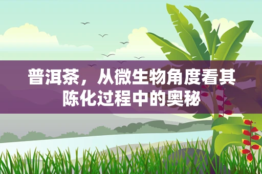 普洱茶，从微生物角度看其陈化过程中的奥秘