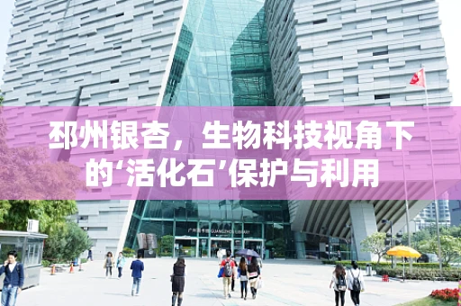 邳州银杏，生物科技视角下的‘活化石’保护与利用