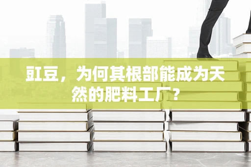 豇豆，为何其根部能成为天然的肥料工厂？