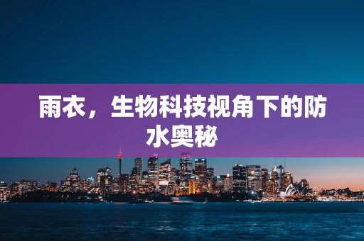 雨衣，生物科技视角下的防水奥秘