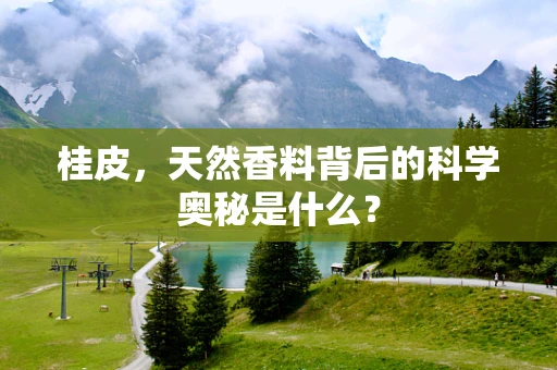 桂皮，天然香料背后的科学奥秘是什么？