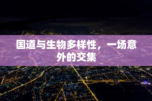 国道与生物多样性，一场意外的交集