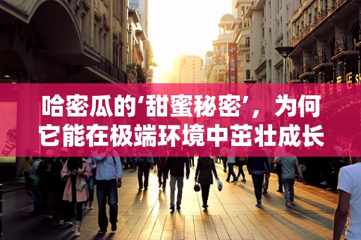 哈密瓜的‘甜蜜秘密’，为何它能在极端环境中茁壮成长？
