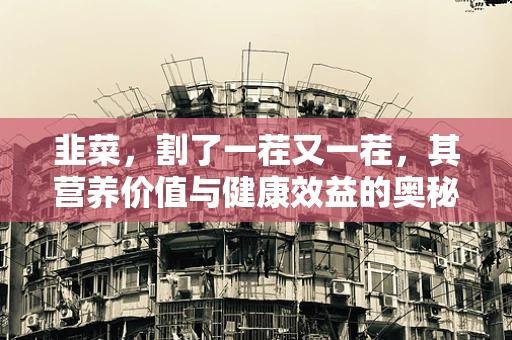 韭菜，割了一茬又一茬，其营养价值与健康效益的奥秘何在？