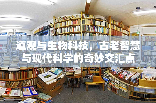 道观与生物科技，古老智慧与现代科学的奇妙交汇点