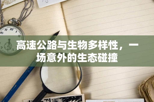 高速公路与生物多样性，一场意外的生态碰撞