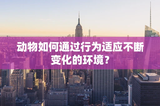 动物如何通过行为适应不断变化的环境？