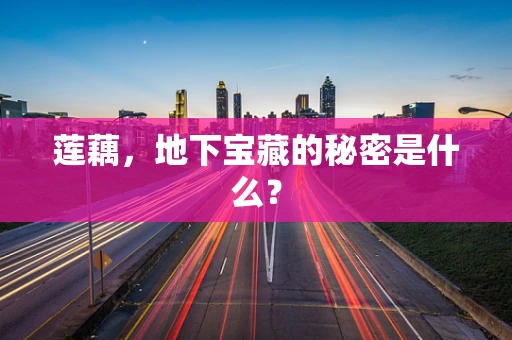莲藕，地下宝藏的秘密是什么？