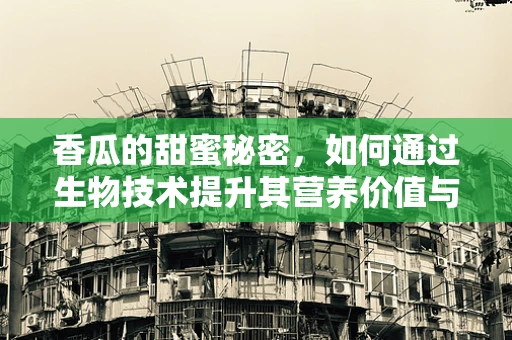 香瓜的甜蜜秘密，如何通过生物技术提升其营养价值与口感？