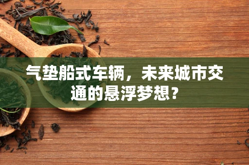气垫船式车辆，未来城市交通的悬浮梦想？