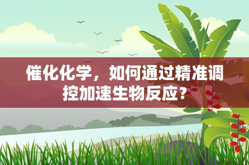 催化化学，如何通过精准调控加速生物反应？