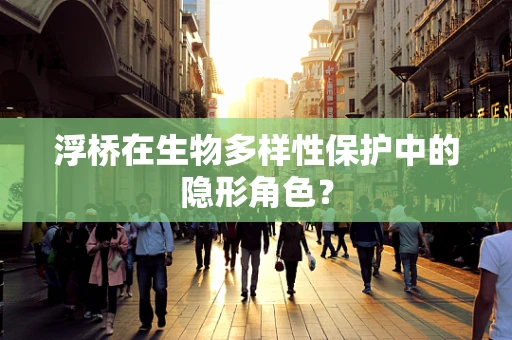 浮桥在生物多样性保护中的隐形角色？