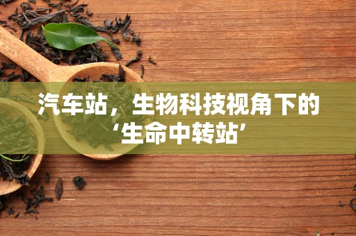 汽车站，生物科技视角下的‘生命中转站’