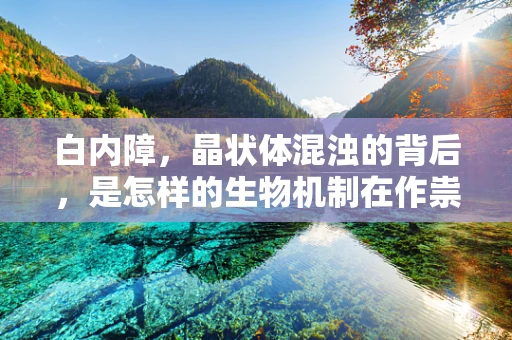 白内障，晶状体混浊的背后，是怎样的生物机制在作祟？