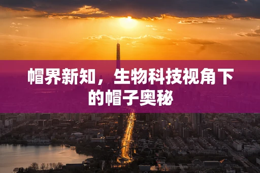 帽界新知，生物科技视角下的帽子奥秘