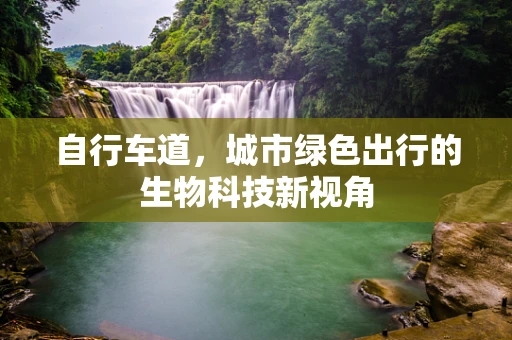 自行车道，城市绿色出行的生物科技新视角