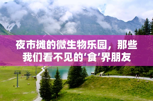 夜市摊的微生物乐园，那些我们看不见的‘食’界朋友