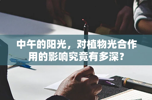 中午的阳光，对植物光合作用的影响究竟有多深？
