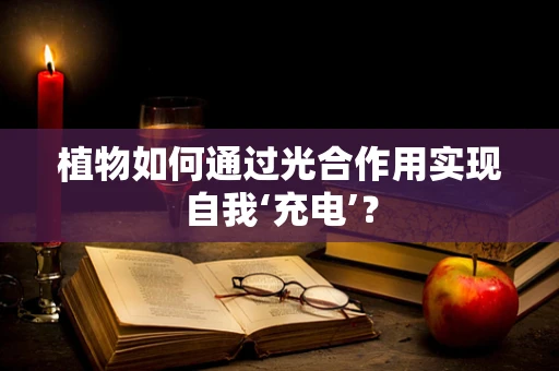 植物如何通过光合作用实现自我‘充电’？