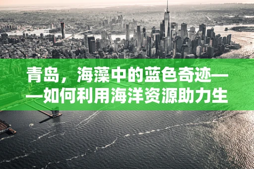 青岛，海藻中的蓝色奇迹——如何利用海洋资源助力生物科技新突破？