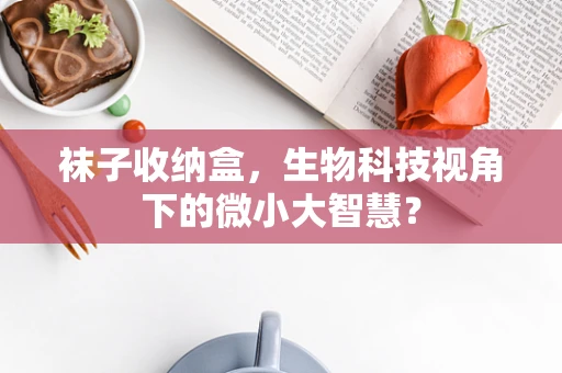 袜子收纳盒，生物科技视角下的微小大智慧？