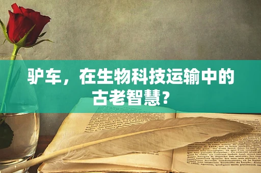 驴车，在生物科技运输中的古老智慧？
