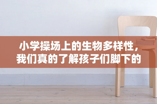 小学操场上的生物多样性，我们真的了解孩子们脚下的世界吗？
