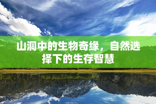 山洞中的生物奇缘，自然选择下的生存智慧