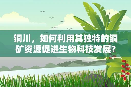 铜川，如何利用其独特的铜矿资源促进生物科技发展？