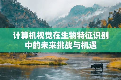 计算机视觉在生物特征识别中的未来挑战与机遇