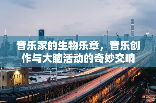 音乐家的生物乐章，音乐创作与大脑活动的奇妙交响