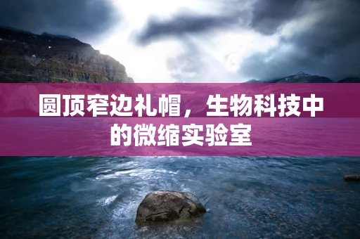 圆顶窄边礼帽，生物科技中的微缩实验室