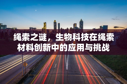 绳索之谜，生物科技在绳索材料创新中的应用与挑战