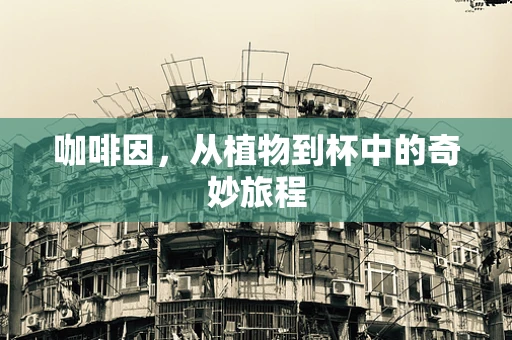 咖啡因，从植物到杯中的奇妙旅程