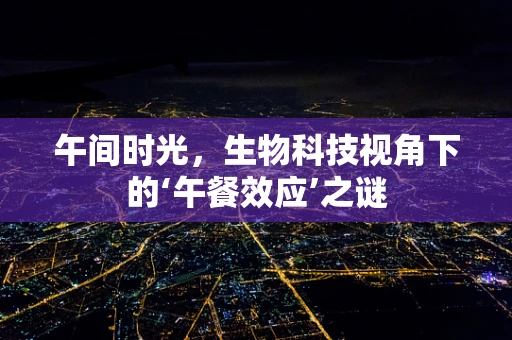 午间时光，生物科技视角下的‘午餐效应’之谜