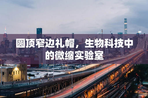 圆顶窄边礼帽，生物科技中的微缩实验室