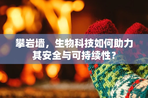 攀岩墙，生物科技如何助力其安全与可持续性？