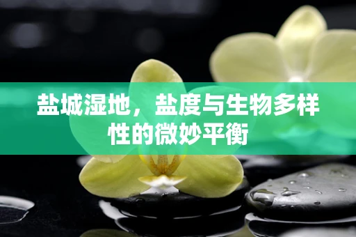 盐城湿地，盐度与生物多样性的微妙平衡