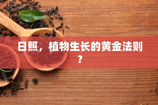 日照，植物生长的黄金法则？